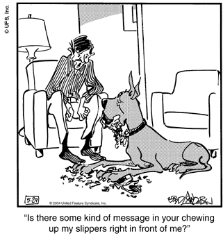marmaduke